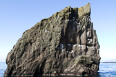 IMG_6786.jpg