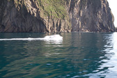 IMG_6797.jpg