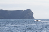 IMG_6818.jpg