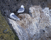 IMG_6839.jpg