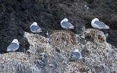 IMG_6842.jpg