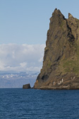 IMG_6853.jpg