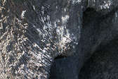 IMG_6864.jpg