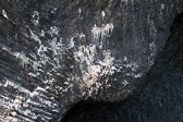 IMG_6866.jpg