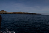 IMG_6876.jpg