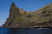 IMG_6888.jpg