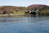 IMG_6961.jpg