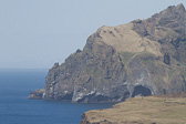 IMG_7020.jpg