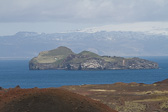 IMG_7025.jpg