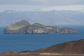 IMG_7028.jpg