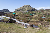 IMG_7048.jpg