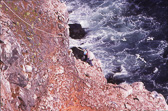 Bjarni Þorvaldsson í Skálabjörgum