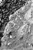 IMG_0138.jpg