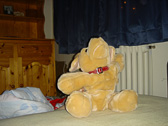 DSC03388.jpg