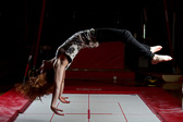 IMG_2580---2011-02-10-at-14-24-43.jpg