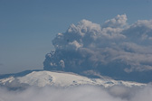 IMG_5095.jpg