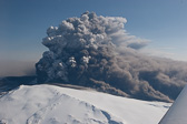 IMG_5110.jpg