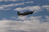 IMG_5432.jpg