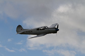 IMG_5479.jpg