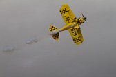 IMG_5530.jpg
