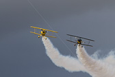 IMG_5543.jpg