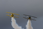 IMG_5547.jpg
