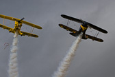 Siggi að leika með flugdreka