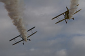 IMG_5559.jpg