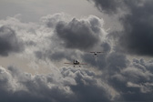 IMG_1048.jpg