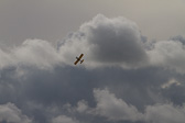 IMG_1071.jpg