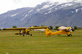 IMG_7802.jpg