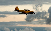 IMG_7879.jpg