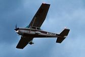 IMG_7975.jpg