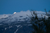 IMG_8080.jpg