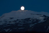 IMG_8086.jpg