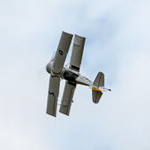 IMG_8500.jpg