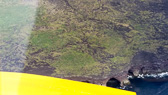 20160801_142324.jpg
