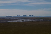 IMG_6029.jpg