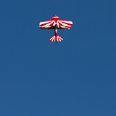 IMG_6156.jpg