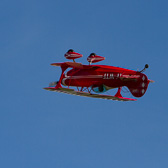 IMG_6184.jpg