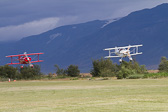 IMG_6537.jpg