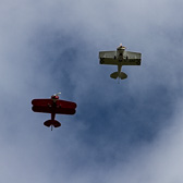IMG_6556.jpg