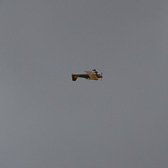 IMG_6730.jpg