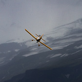 IMG_6778.jpg
