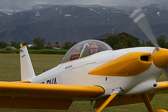 IMG_6787.jpg