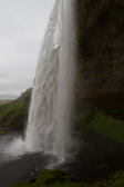 IMG_6813.jpg