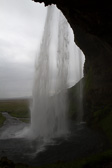 IMG_6817.jpg