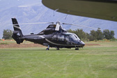 IMG_2971.jpg
