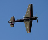 IMG_2862.jpg