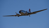 IMG_2866.jpg